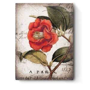 Sid Dickens RARE T404- Red Camellia New